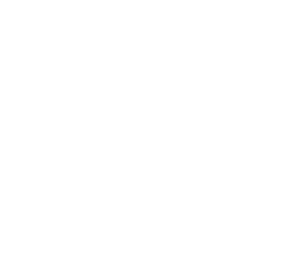 Varroc Lighting Systems s.r.o.
